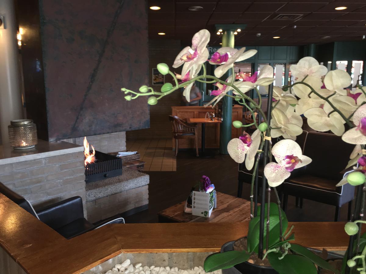 Appartement Noorderkragt, Amelander Kaap Hollum  Esterno foto